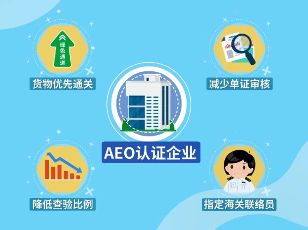 1767628656318014.jpg a9a2db94-5259-49e9-80db-d4332f73d73b.jpg